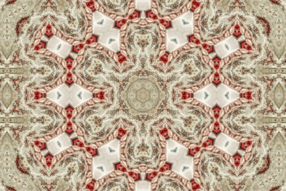 Download Mystical Floral Print Design for Decor - Floral print Collection
